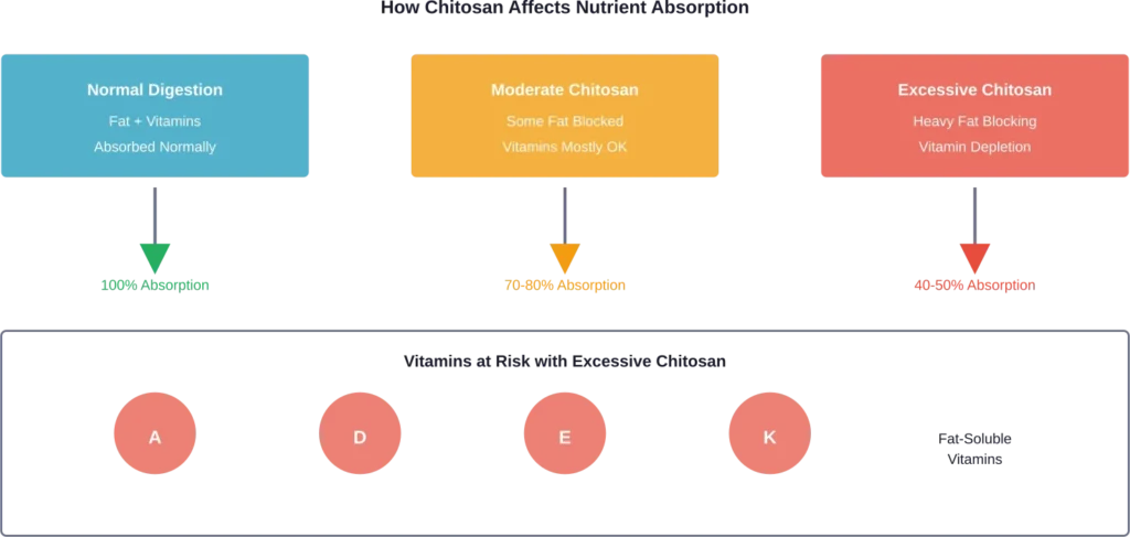 Impact of chitosan dosage on fat and vitamin absorption in the digestive system