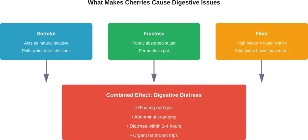 The three main components in cherries that cause digestive issues when consumed in excess