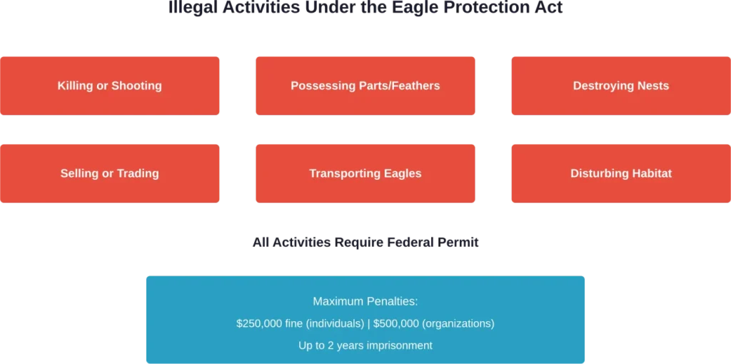 Prohibited activities under the Bald and Golden Eagle Protection Act and maximum penalties