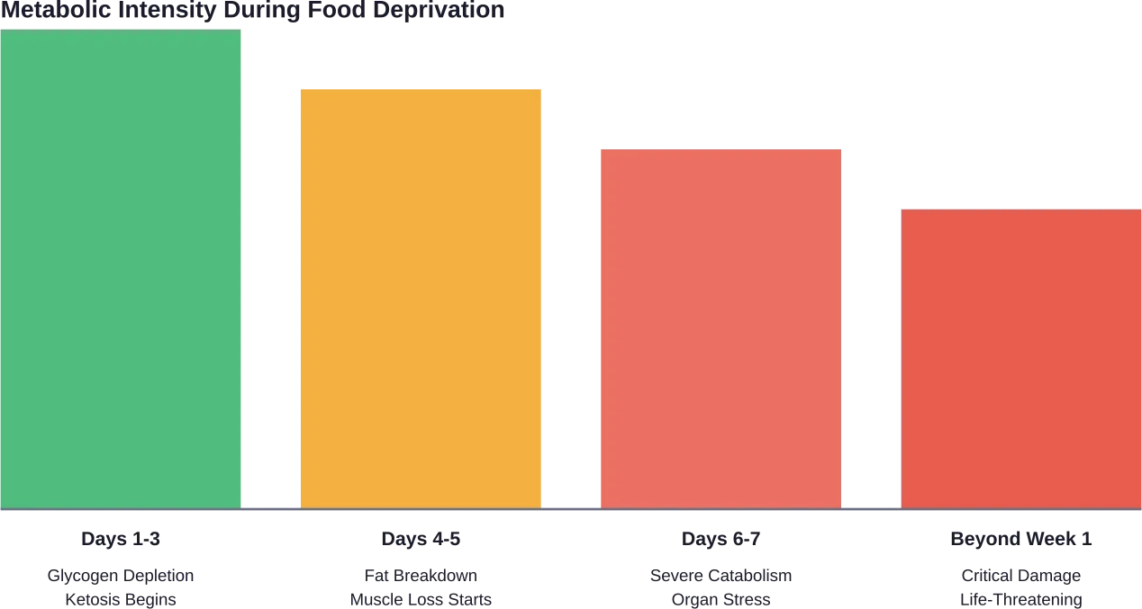 Progression of metabolic changes and tissue breakdown during a week without food