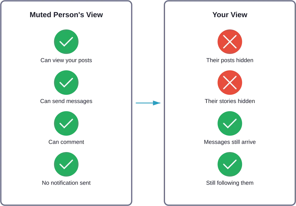 What happens when someone gets muted on Instagram: their perspective versus what the muter sees