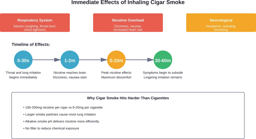Timeline showing how quickly inhaling cigar smoke affects the body, from immediate irritation to peak nicotine overload symptoms.