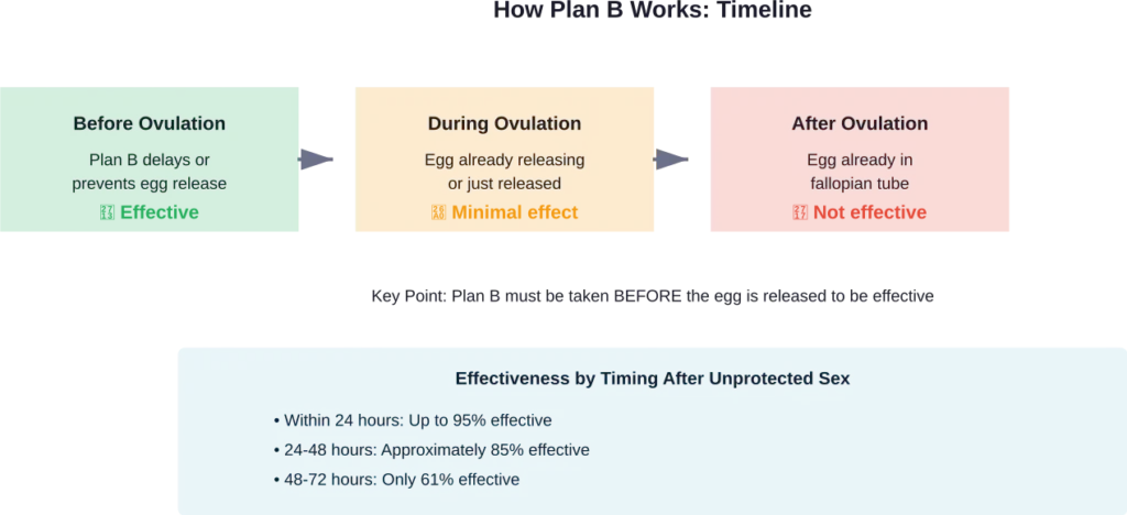 Plan B effectiveness depends on when it's taken relative to both unprotected sex and ovulation timing
