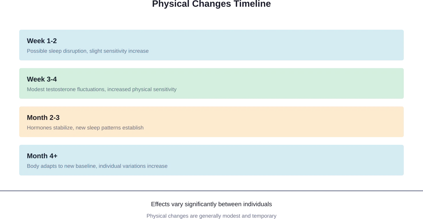 Timeline of typical physical changes reported when stopping masturbation, based on community reports and available research