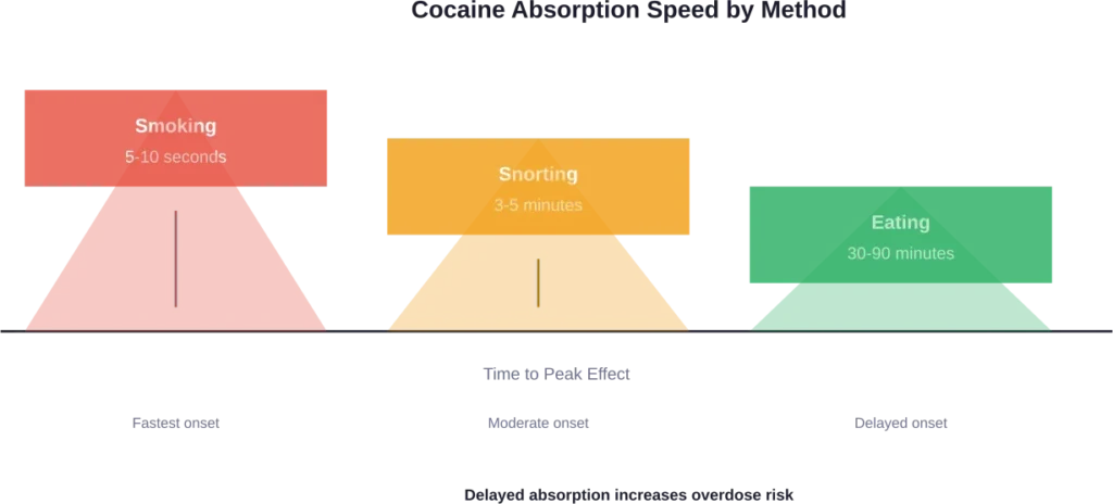 Comparison of cocaine absorption rates across different consumption methods, showing the delayed onset when cocaine is eaten.