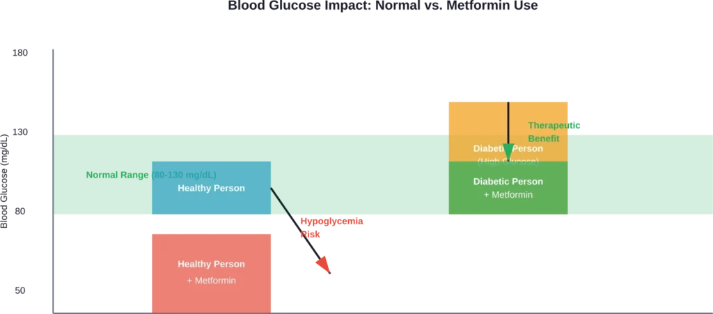 Metformin lowers blood glucose effectively in diabetics but creates hypoglycemia risk in people with normal glucose levels.