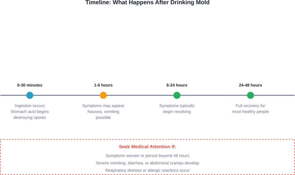 Typical timeline of symptoms and recovery after drinking mold for healthy individuals