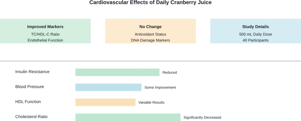 Research findings on cardiovascular effects from daily cranberry juice consumption based on NIH studies