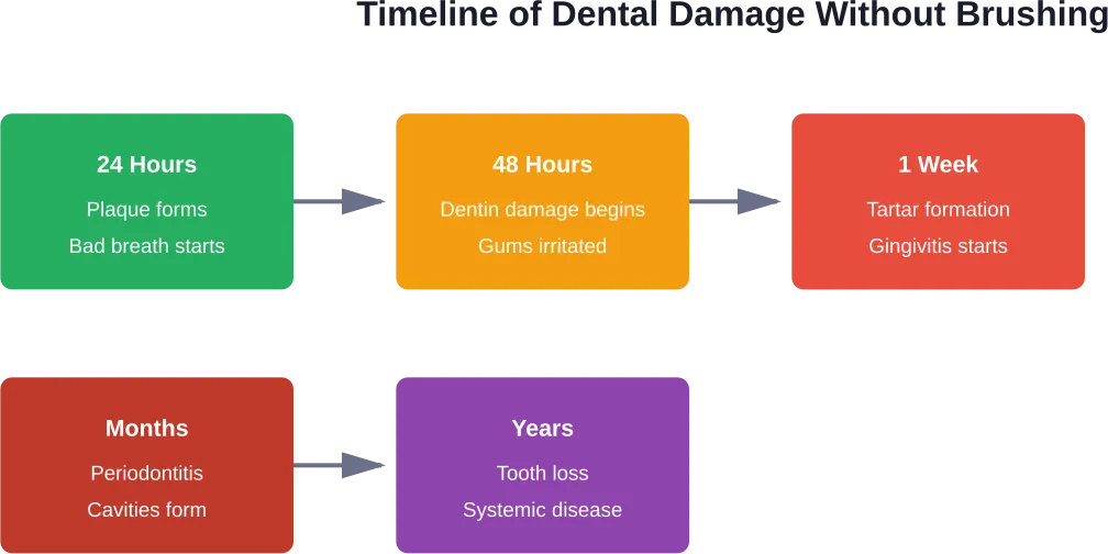 The progression of dental problems when brushing is neglected, from hours to years