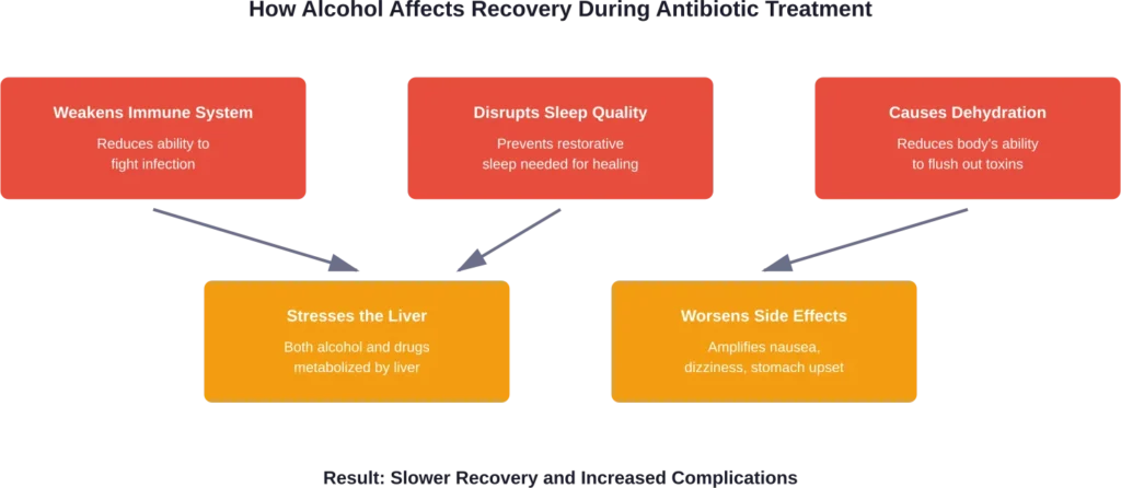 Multiple pathways show how alcohol consumption interferes with the body's healing process during antibiotic treatment