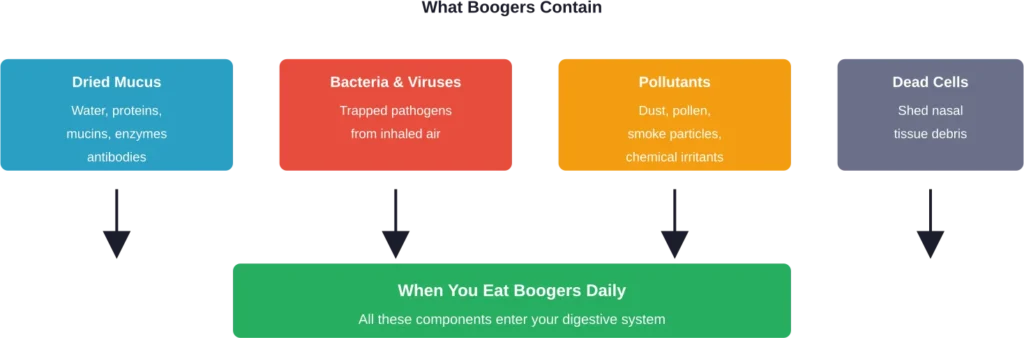 Components found in boogers and what happens when consumed daily