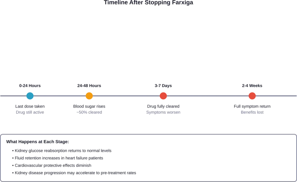 Timeline showing how the body responds after discontinuing Farxiga, from drug clearance to symptom return.