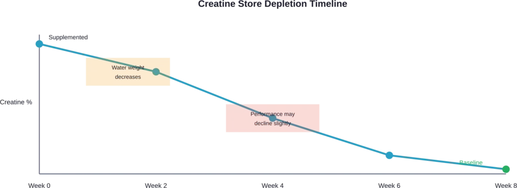 Timeline showing the gradual decline in muscle creatine stores after stopping supplementation