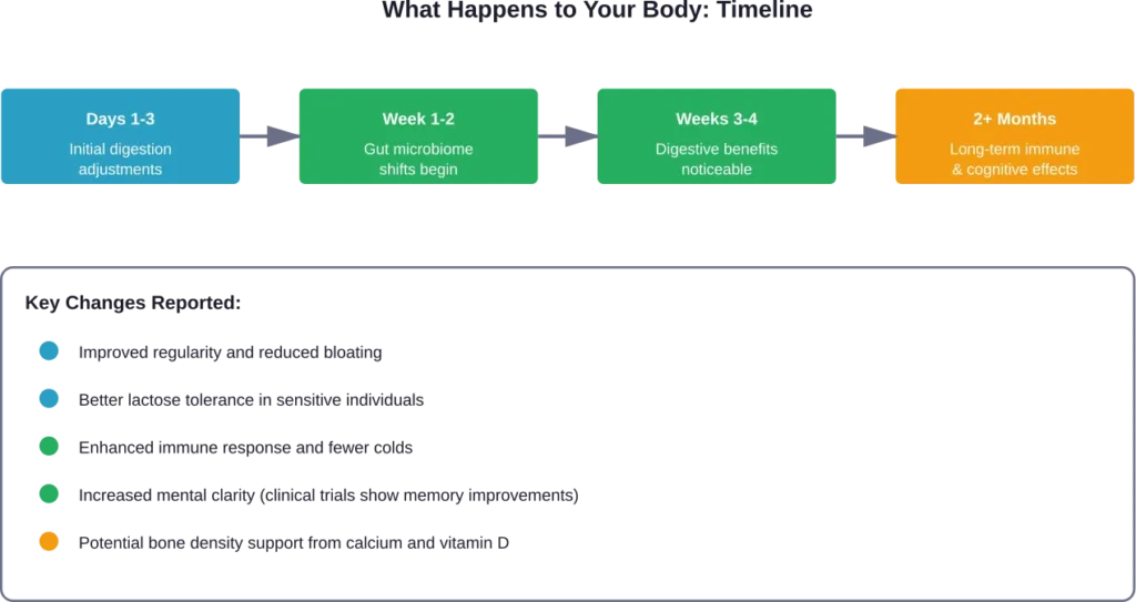 Timeline of effects when drinking kefir daily, based on clinical research and user reports