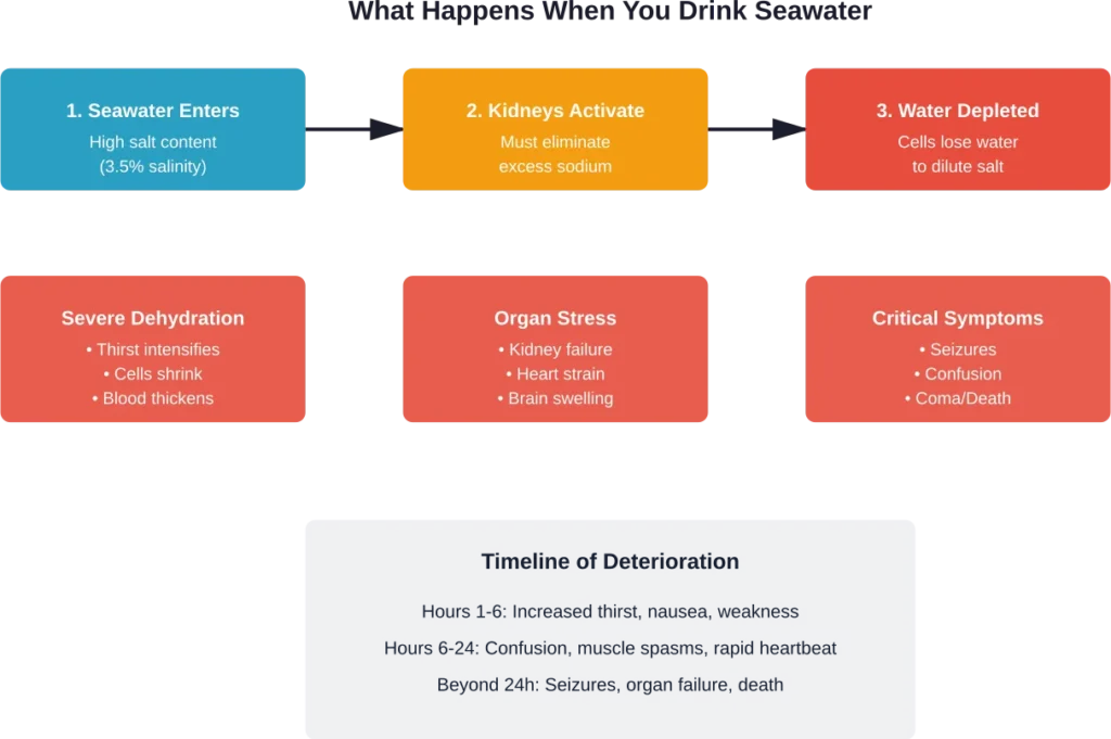 Progressive effects of seawater consumption on the human body