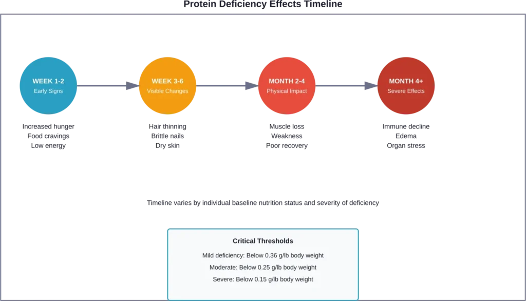 How protein deficiency symptoms progress over time, from early hunger signals to severe malnutrition