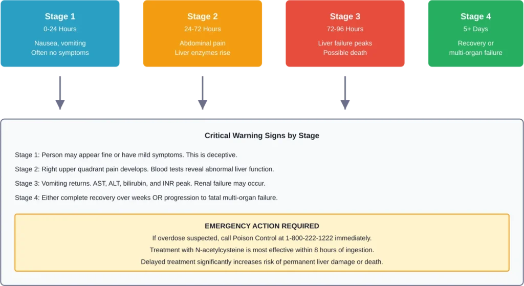 The four stages of acetaminophen poisoning and critical intervention timeline