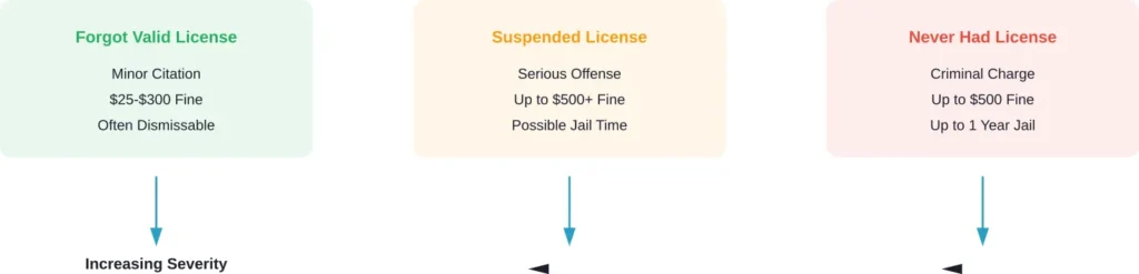 Comparison of license-related violations and their typical penalties
