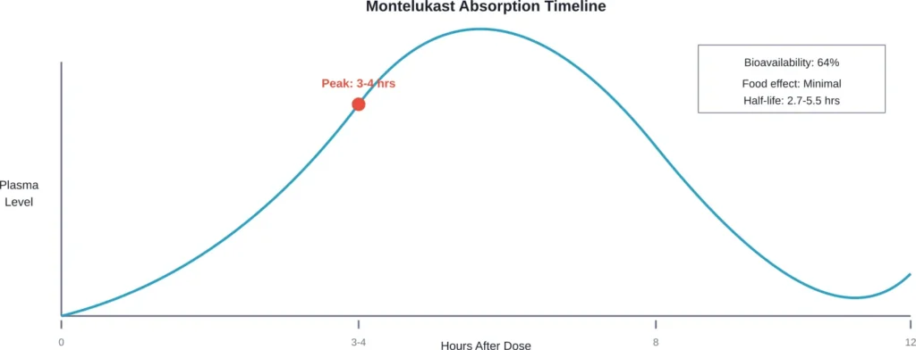 Montelukast reaches peak blood levels 3-4 hours after dosing, with consistent absorption regardless of food intake