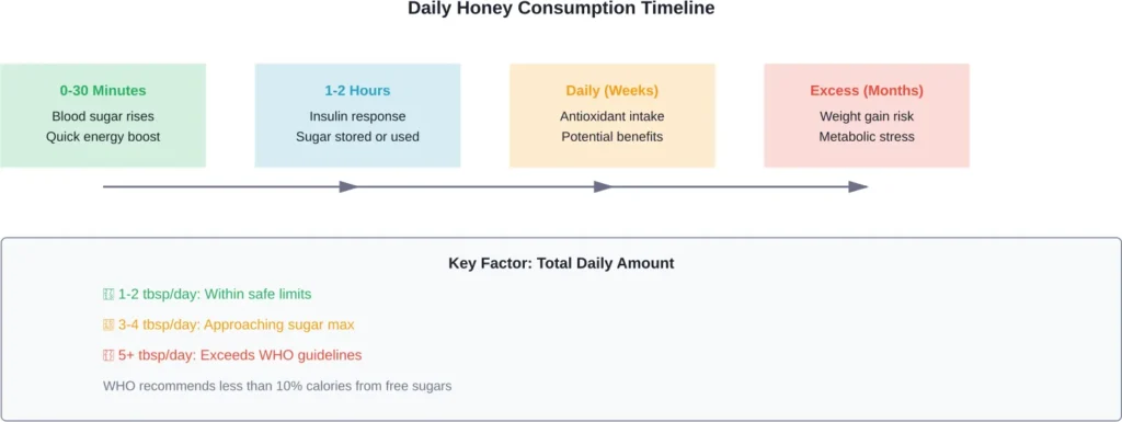 Timeline showing what happens to your body at different stages of daily honey consumption, from immediate blood sugar effects to long-term risks of overconsumption.