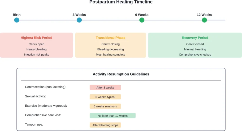 Timeline showing key healing milestones and when different activities can typically be safely resumed after childbirth