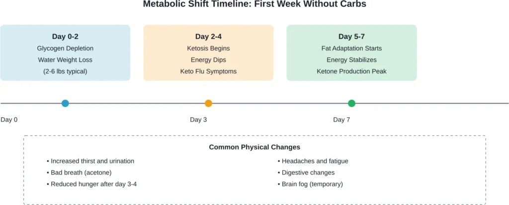 The three-phase metabolic response when eliminating carbohydrates for one week