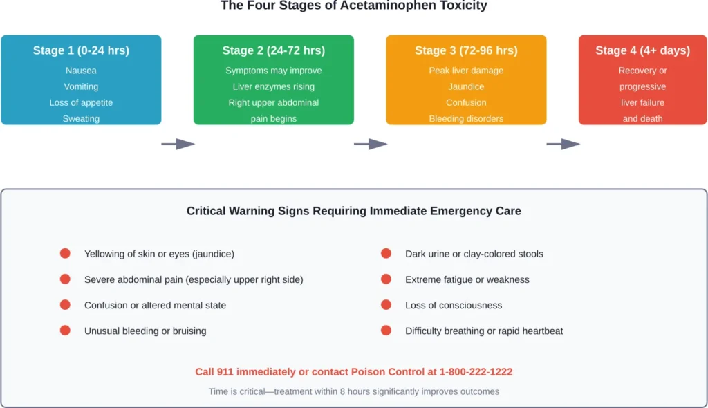 Timeline of acetaminophen overdose symptoms and emergency warning signs