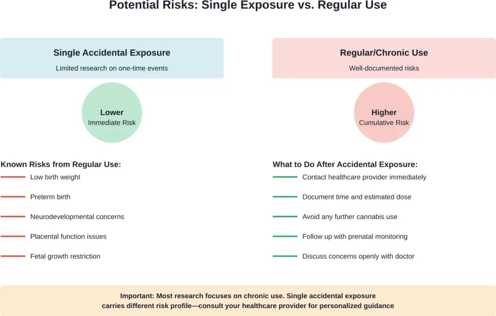 Comparison of risk profiles between single accidental exposure and regular cannabis use during pregnancy