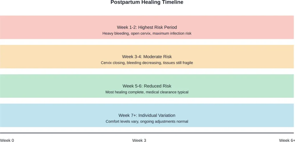 Timeline showing infection and complication risk levels during postpartum recovery