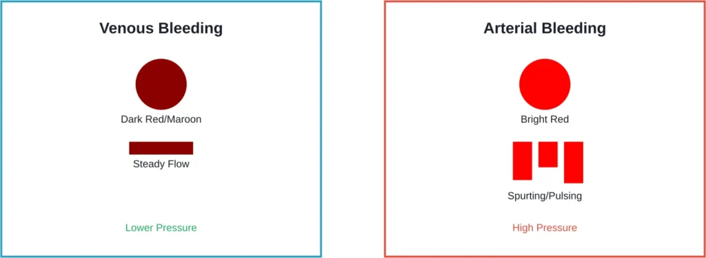 Comparison of venous versus arterial bleeding characteristics