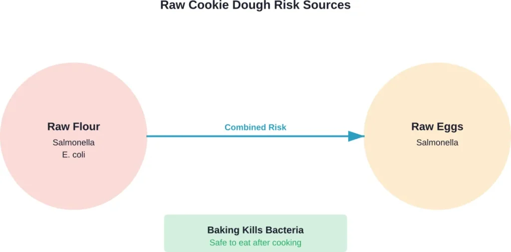 Two primary contamination sources in raw cookie dough and how proper baking eliminates the risk