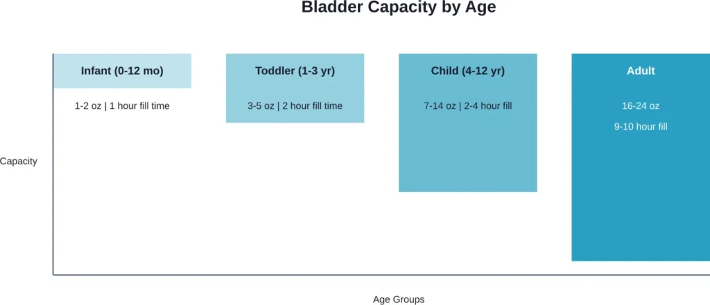 Bladder capacity and fill time increase significantly from infancy to adulthood