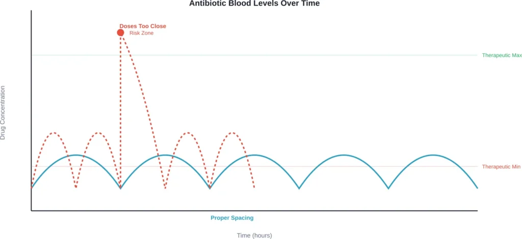 Comparison of antibiotic blood levels with proper spacing versus doses taken too close together, showing how compressed timing pushes concentrations above the safe therapeutic range.