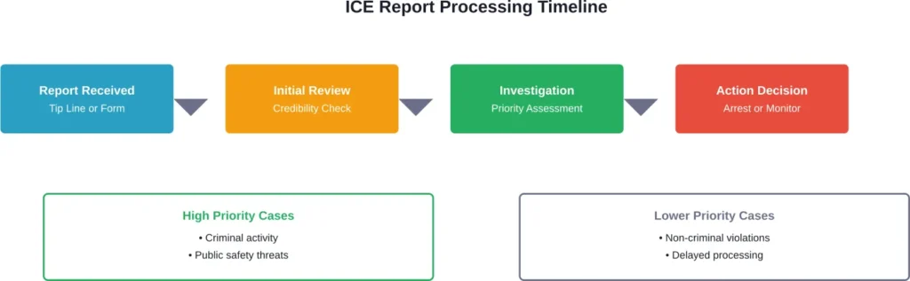 The immigration enforcement process follows distinct stages from initial report to final decision, with priority determined by case characteristics.