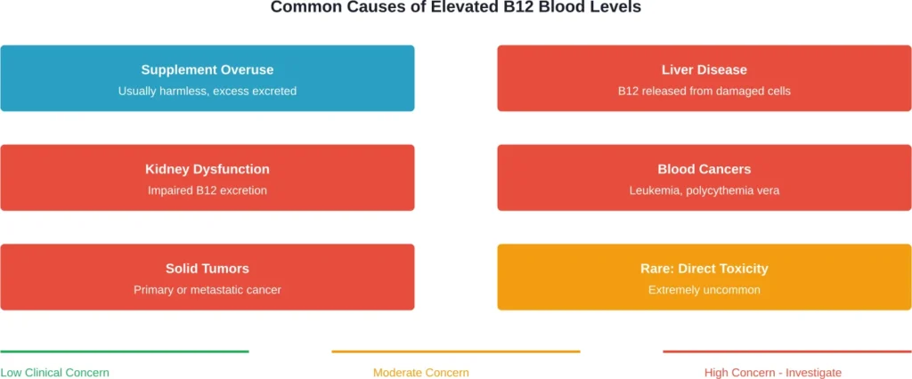 Most elevated B12 cases stem from underlying disease rather than supplement overuse, requiring medical evaluation