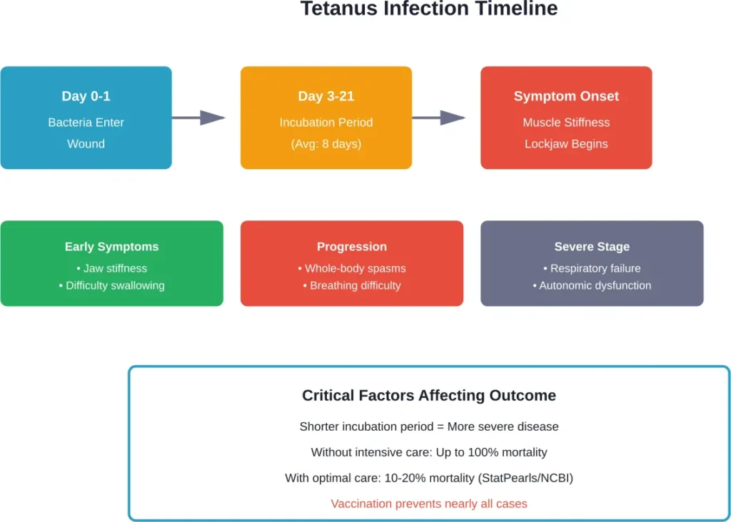Timeline showing how tetanus infection develops and progresses from initial wound contamination to severe symptoms