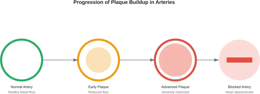 The progression from healthy arteries to complete blockage happens gradually over years without noticeable symptoms.