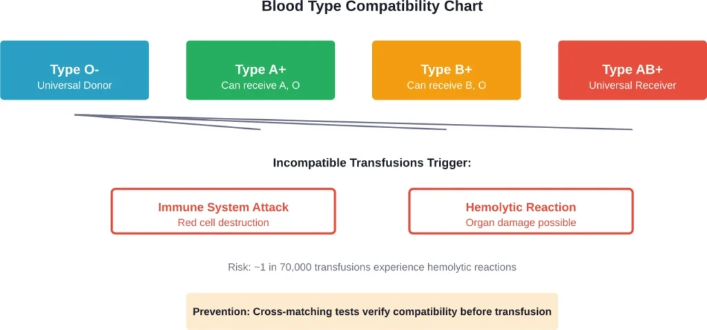 Blood type compatibility and the consequences of mismatched transfusions