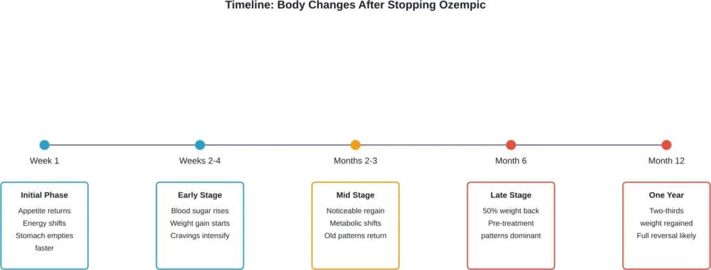 Typical progression of physiological changes after discontinuing Ozempic, based on clinical research data.
