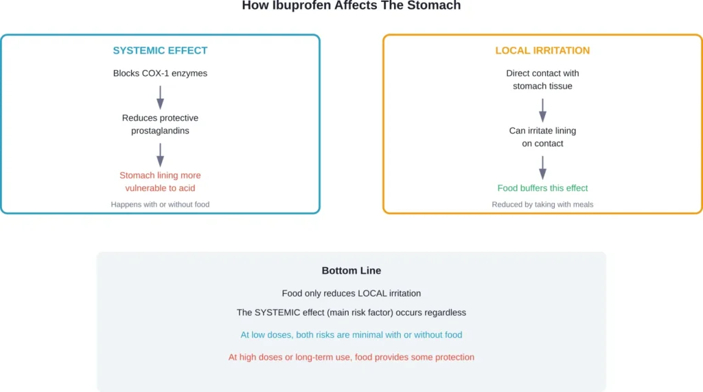 The two mechanisms by which ibuprofen affects stomach tissue, and how food influences each pathway