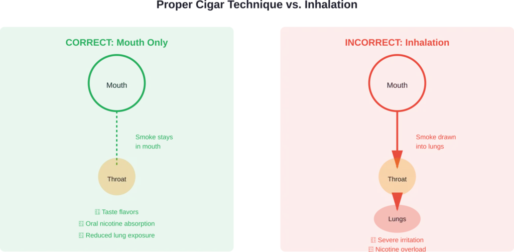 Visual comparison showing the correct method of keeping cigar smoke in the mouth versus the harmful practice of inhaling into the lungs.
