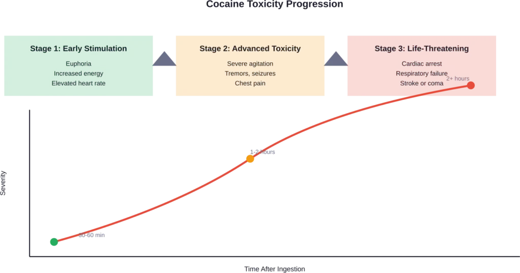 Progression of cocaine toxicity stages showing increasing severity of symptoms over time after ingestion.