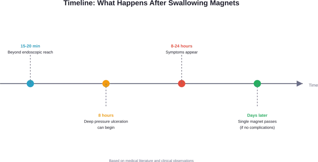 Critical time windows following magnet ingestion, from im