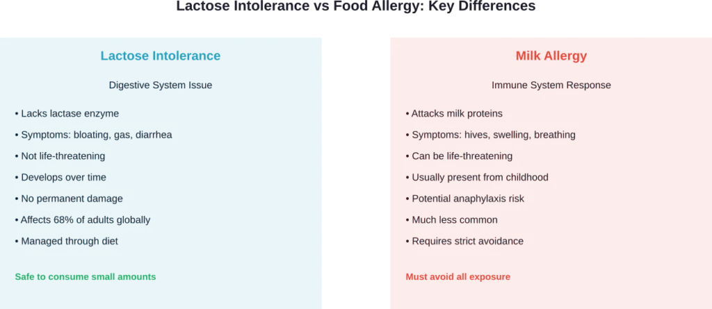 Comparison showing the fundamental differences between lactose intolerance and milk allergy