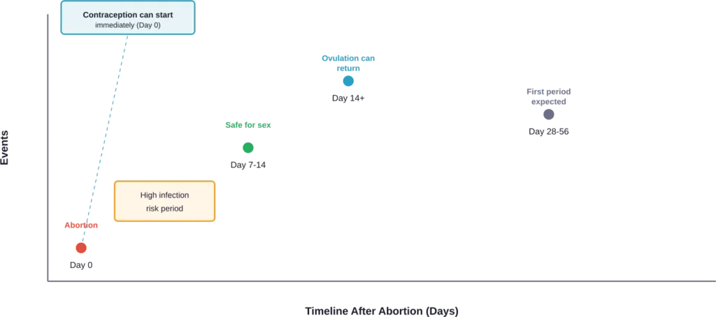 Timeline of key events and milestones following an abortion procedure, from day of procedure through return of menstruation
