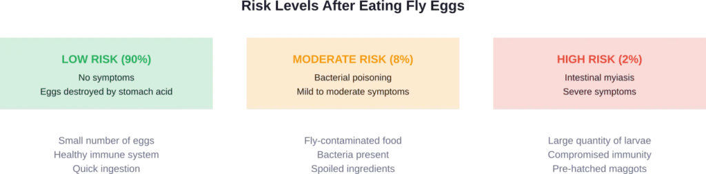 Estimated risk levels and contributing factors after consuming fly eggs