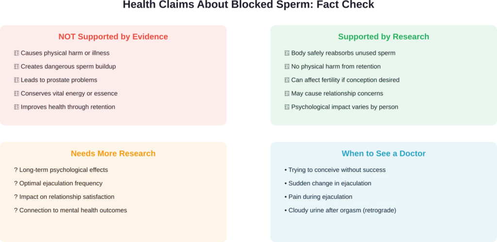 Evidence-based assessment of common claims about blocked sperm and health, showing what research supports versus myths
