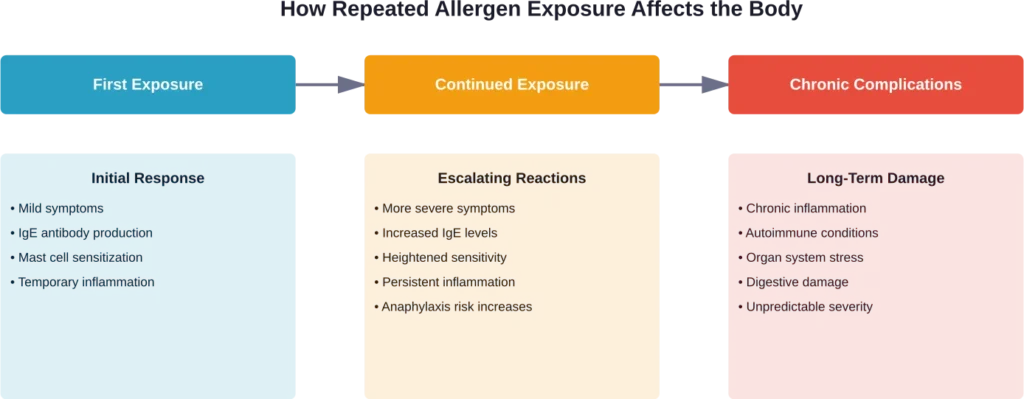 Progression showing how continued allergen exposure can lead to increasingly severe reactions and chronic health issues