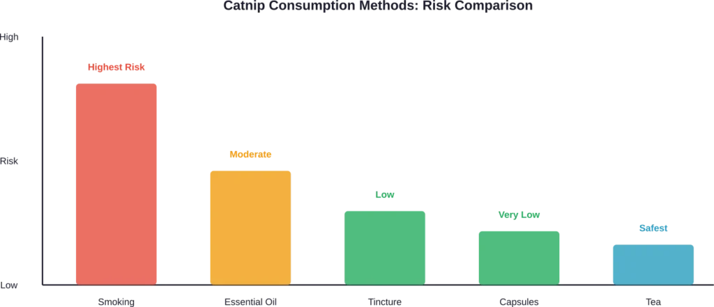 Relative safety comparison of different catnip consumption methods, with tea being the safest and smoking carrying the highest health risks