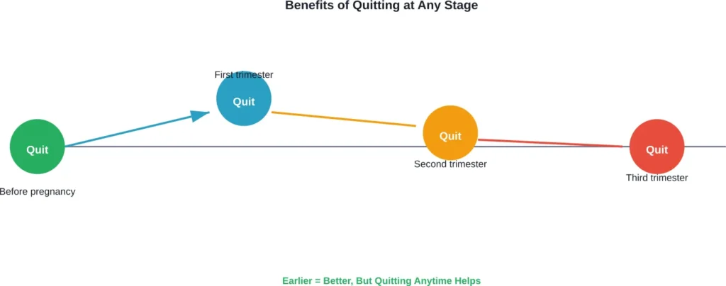 Timeline showing health benefits improve regardless of when smoking cessation occurs during pregnancy
